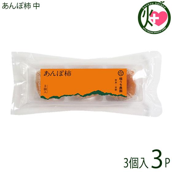 あんぽ柿 (中) 3個入り×3P 堀うち農園 奈良県 土産 人気 10月上旬〜 特別栽培した種無柿 ...