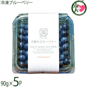 国産、無農薬の冷凍ブルーベリー1kg(500g×2) 農薬・除草剤不使用、洗い