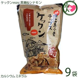 ケックンmini 黒糖&シナモン 60g×9袋 沖縄伊江島小麦チップス ほんのり甘い！ おやつ 黒糖｜kenko-batake