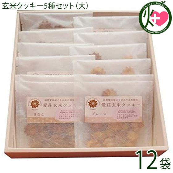ギフト 愛荘玄米クッキー5種セット（大）30g×12袋 滋賀土産 滋賀 土産 関西 人気 贈り物