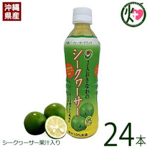 JAおきなわのシークヮーサー 500ml×24本 JAおきなわ 沖縄 土産 人気