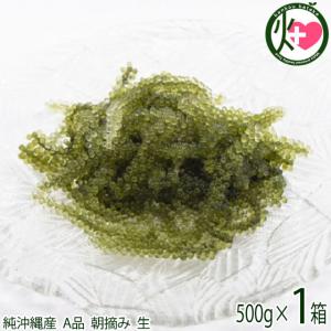 純沖縄産 A品 朝摘み 生海ぶどう オジーの夢 500g 送...