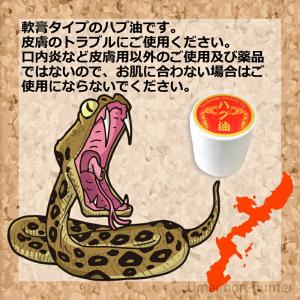 沖縄県産 ハブ油 65g×2個 メイハイ物産 ...の詳細画像2