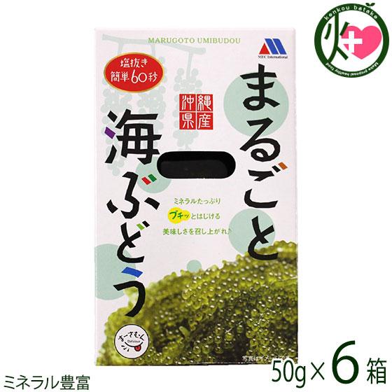 まるごと 海ぶどう 50g×6箱 メックインターナショナル 沖縄県産 塩抜き簡単60秒