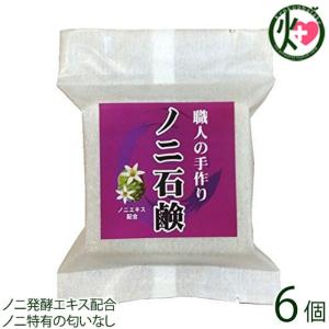 発酵ノニ石鹸 22g×5個 （M便） : 沖縄お土産通販 ここち琉球 - 通販