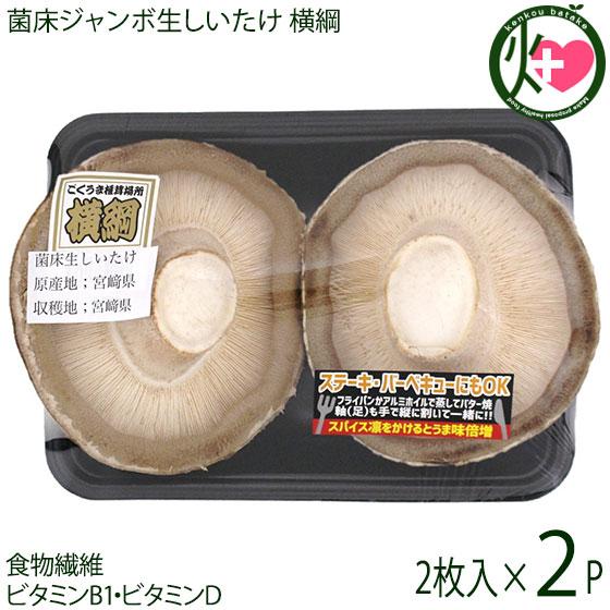 菌床ジャンボ生しいたけ 横綱 直径11cm以上 2枚入×2P 南国きのこ 国産 宮崎県産 椎茸 シイ...