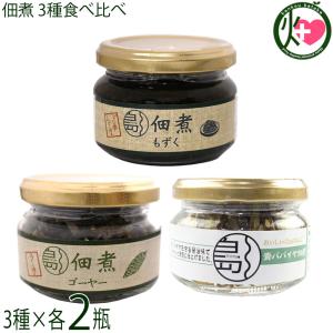 ゴーヤ佃煮 青パパイヤ佃煮 もずく佃煮 食べ比べ２セット 南風堂