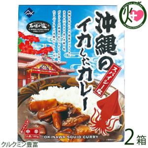 スパイシーな沖縄のイカしたカレー 180g×2箱 レトルトカレー 時短 沖縄 土産 沖縄土産 たけしの家庭の医学 ターメリック クルクミン豊富｜kenko-batake