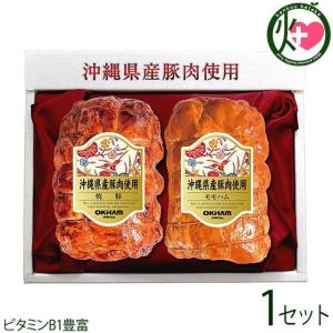 佐賀県産 みかん プレミアム 天山 秀品 M〜Lサイズ 5kg : 生鮮卸売市場