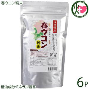 沖縄産 春ウコン粉末 100g×6袋 沖縄ウコン販売 沖縄 健康維持｜kenko-batake