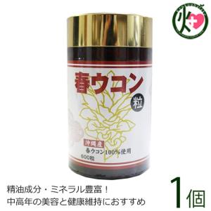 沖縄産100% 春ウコン粒 (1個・60g/約600粒)×1個 沖縄ウコン販売｜kenko-batake