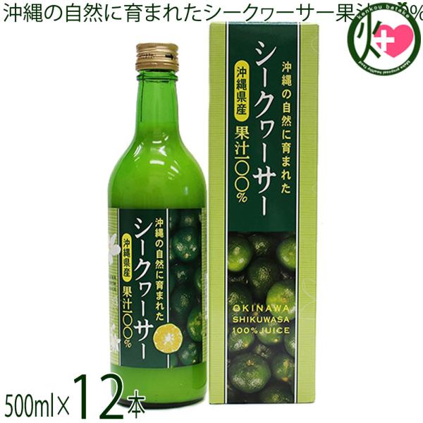 沖縄の自然に育まれたシークヮーサー果汁100% 500ml×1本 沖縄アロエ 沖縄 ノビレチン