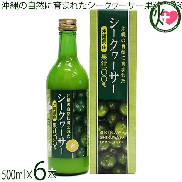 沖縄の自然に育まれたシークヮーサー果汁100% 500ml×6本 沖縄アロエ 沖縄 ノビレチン