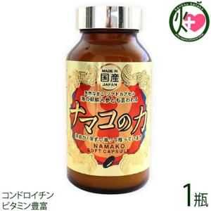 ナマコの力 460mg (180粒入り) ×1瓶 オニツカ興産 コンドロイチン ビタミン 海参 海鼠 なまこの商品画像