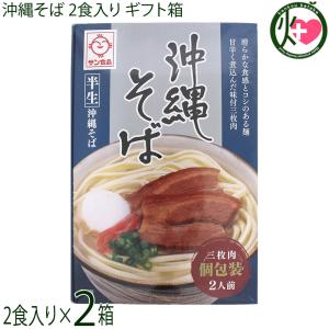 半生 沖縄そば 2食×2箱 ギフト箱入り サン食品｜kenko-batake