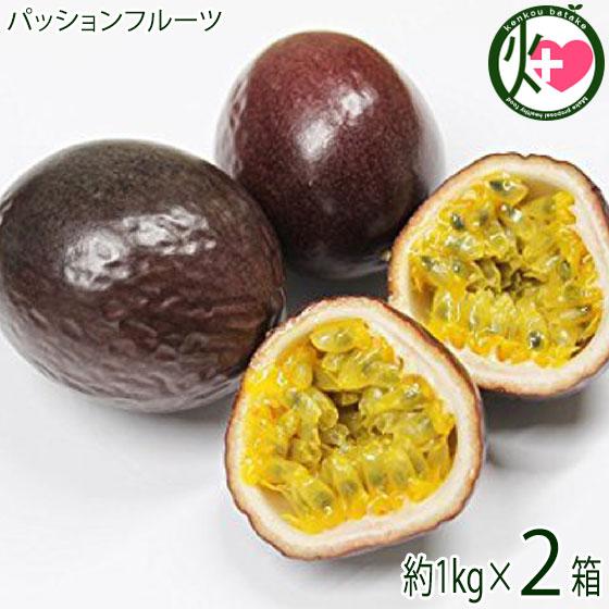 ギフト 沖縄県産 パッションフルーツ 約1kg 9〜13玉×2箱 サンチャイルド農園