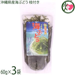 県産海ぶどう枝付き 60g×3袋