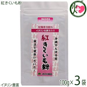 沖縄やんばる産100% 紅きくいも粉 100g×3P 渡具知農園 沖縄 土産 健康食品 粉末 ビタミン イヌリン豊富 フランスきくいも 紫きくいも｜kenko-batake