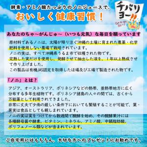 沖縄県産 のに元気ジュース 720ml×2本 ...の詳細画像2
