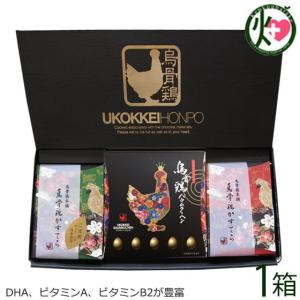 ハロウィン ギフト箱入り 烏骨鶏煌スイーツセット かすてら2種 バウムクーヘン 各1個 烏骨鶏本舗岐阜県 人気 貴重な烏骨鶏卵使用 DHA 条件付き