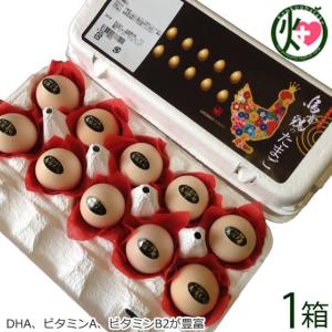 烏骨鶏卵モールド 10個入り×1箱 烏骨鶏本舗 岐阜県 土産 人気 希少な烏骨鶏の卵 ビタミン ミネラル コリン 日々の健康維持に 条件付き