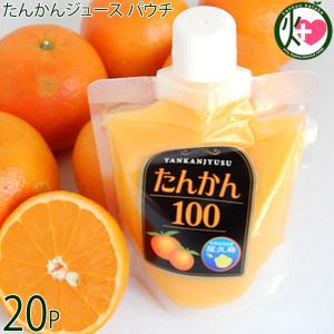 たんかんジュース パウチ 160g×20P 屋久島ふれあい食品 鹿児島県 人気 定番 土産 果汁100%飲料 柑橘類随一のビタミンC量
