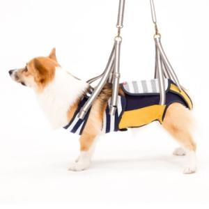 ◇トンボ 歩行補助ハーネスLaLaWalk(ララウォーク) 中型犬・コーギー用 ボーダーマスタード CM