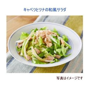 ノンオイル減塩和風 ドレッシング 1L ジャネ...の詳細画像1