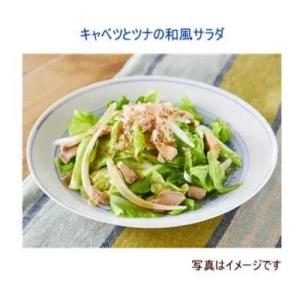 ジャネフ ノンオイル減塩和風 ドレッシング 2...の詳細画像1