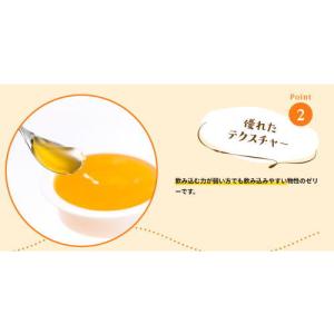 おいしいプロテインゼリー 赤ぶどう味 74g×...の詳細画像2