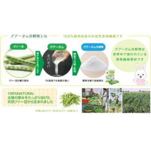 サンファイバー 1kg×2袋セット タイヨーラ...の詳細画像3