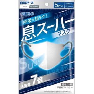 白元アース 快適ガード 息スーハーマスク 立体タイプ ふつうサイズ 5枚