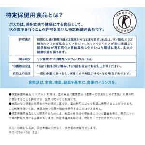 ポスカ クリアミント エコパウチ 75g 特定...の詳細画像2