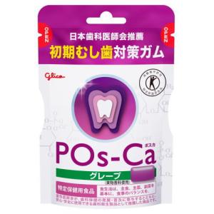 ポスカ グレープ エコパウチ 75g×5袋 特...の詳細画像1