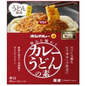 ボンカレー カレーうどんの素 ピリ辛仕立て 100g｜kenko-depart