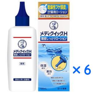 メディクイックH 頭皮しっとりローション 120ml×6　送料無料　優良配送｜kenko-depart