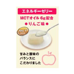 ミニタス エネルギーゼリー りんご味 25g×...の詳細画像1