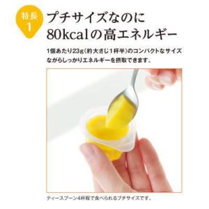 ブイクレス ハイプチゼリー キウイフルーツ風味...の詳細画像2