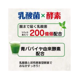 日本薬健 金の青汁 25種の純国産野菜乳酸菌×...の詳細画像3