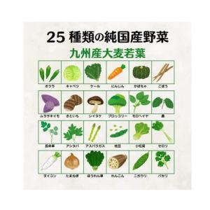 日本薬健 金の青汁 25種の純国産野菜乳酸菌×...の詳細画像2