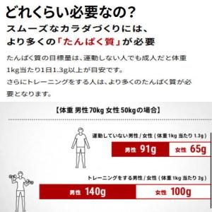 プロテイン 明治 ザバス ミルクプロテイン 脂...の詳細画像2