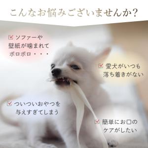 犬 おやつ 無添加 国産 馬肉 アキレス ジャ...の詳細画像2