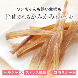 犬 おやつ 無添加 国産 馬肉 アキレス ジャ...の詳細画像3
