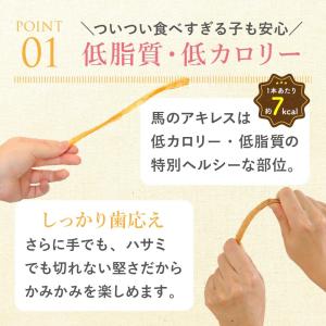 犬 おやつ 無添加 国産 馬肉 アキレス ジャ...の詳細画像4