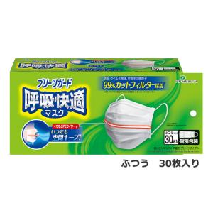 ピップ　プリーツガード 呼吸快適マスク 30枚入 個別包装 ふつうサイズ｜kenko-ex2