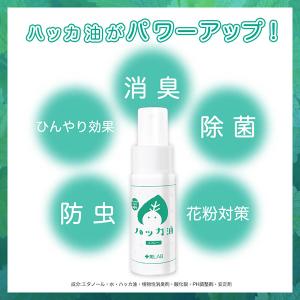 [ツーウェイワールド]十美LAB ハッカ油スプ...の詳細画像2