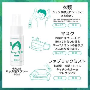 [ツーウェイワールド]十美LAB ハッカ油スプ...の詳細画像3