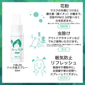 [ツーウェイワールド]十美LAB ハッカ油スプ...の詳細画像4