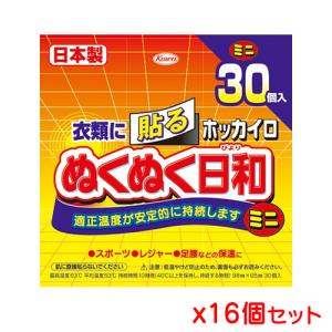 興和 ホッカイロ ぬくぬく日和 貼るミニ 30個入り x 16個セット｜kenko-ex2