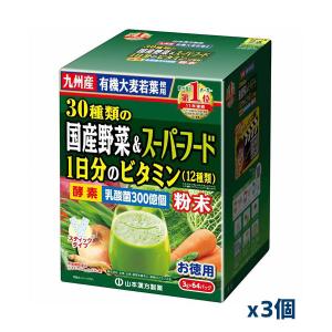 [山本漢方製薬]お徳用 30種類の国産野菜とスーパーフード 3g×64包(青汁)x3箱｜kenko-ex2